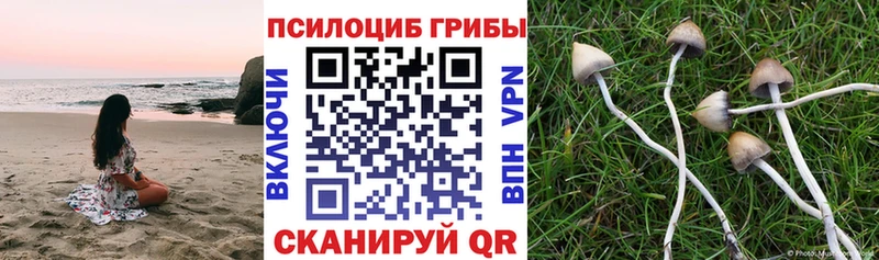 Псилоцибиновые грибы ЛСД  как найти   kraken ТОР  Верхнеуральск 
